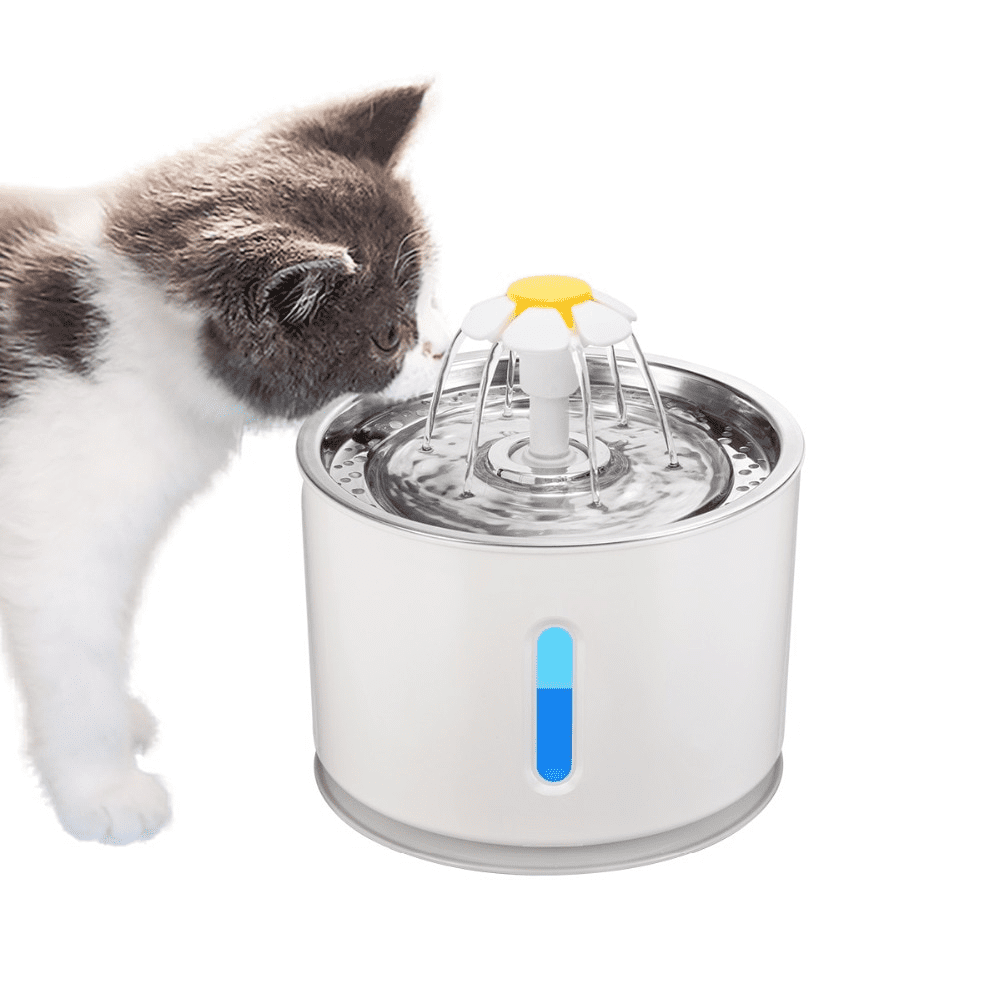 Cat Water Fountain Cat Water Fountain