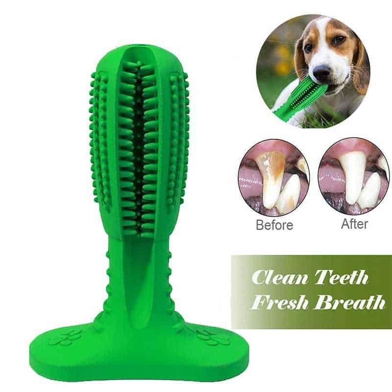 Dog Toothbrush Dog Toothbrush