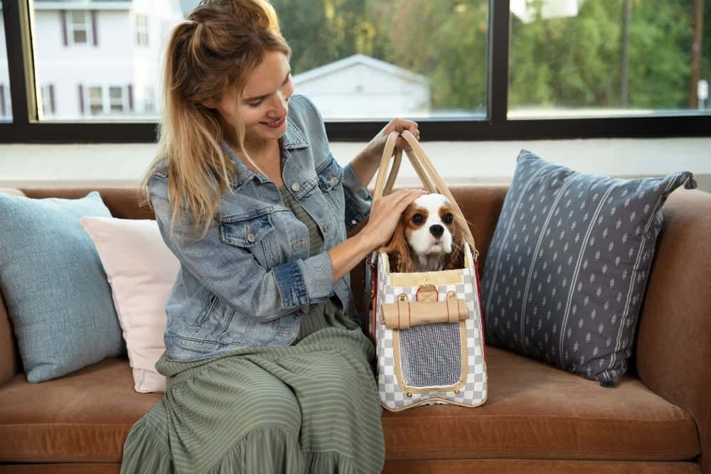 Designer Pet Carrier Designer Pet Carrier