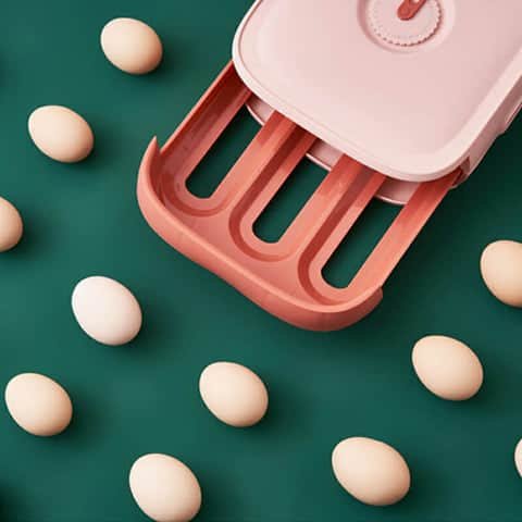 Egg Storage Box