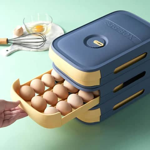 Egg Storage Box
