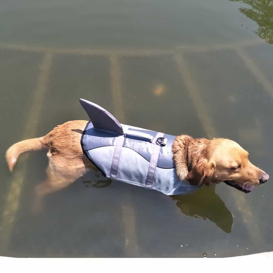 Pet Dog Shark Life Vest