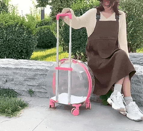 Pet Stroller